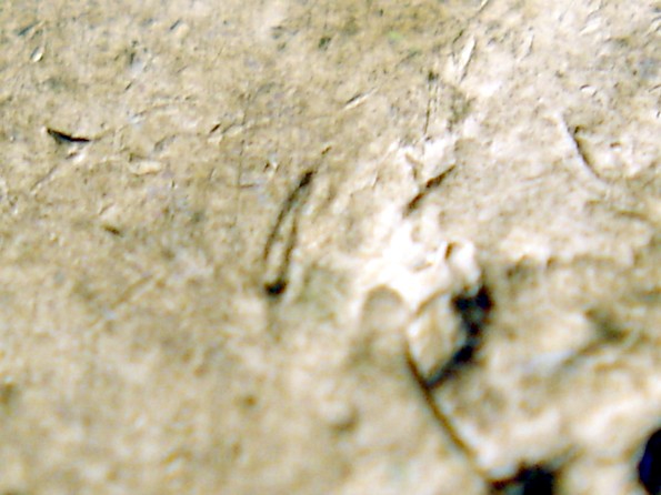 Post-An-Ike-Eisenhower-Dollar